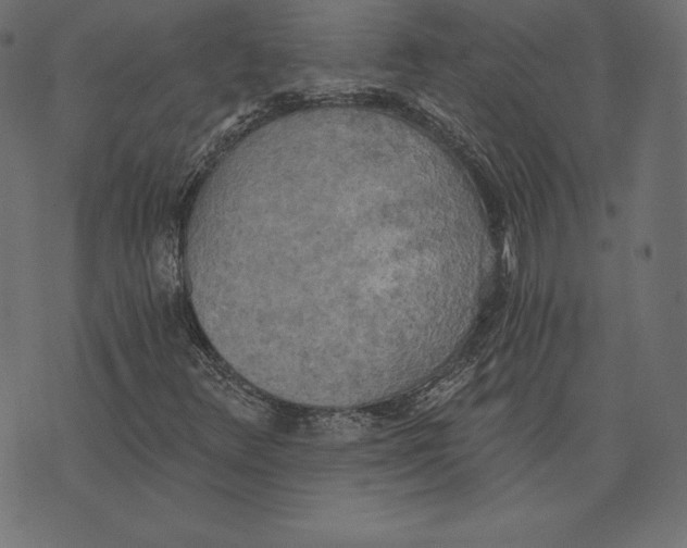 X0000072931348200608181306