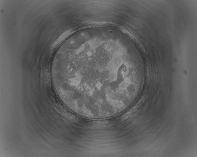 X0000072931354200608181305
