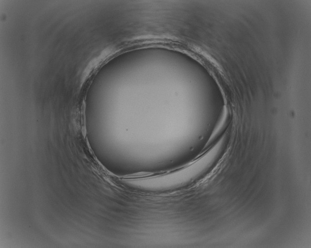 X0000072931357200608181305