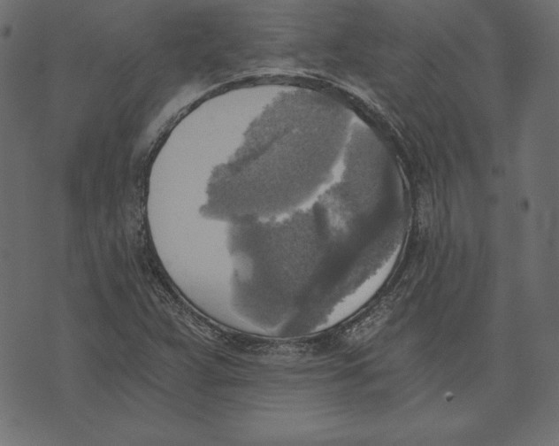 X0000072931359200608181305