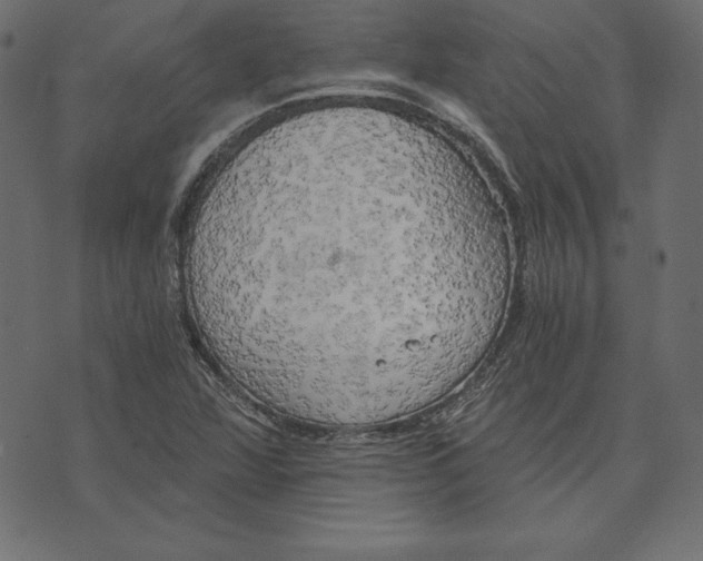 X0000072931360200608181305