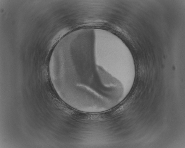 X0000072931362200608181305