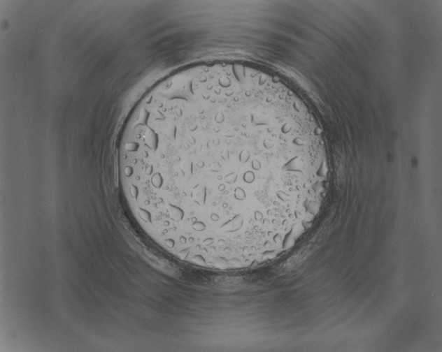 X0000072931371200608181305