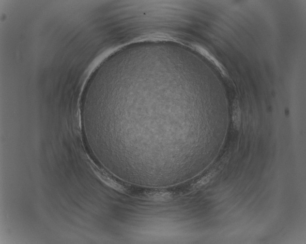 X0000072931372200608181305
