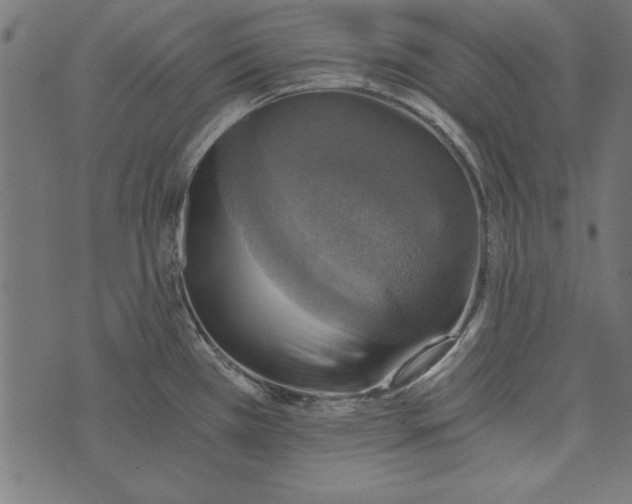 X0000072931385200608181305