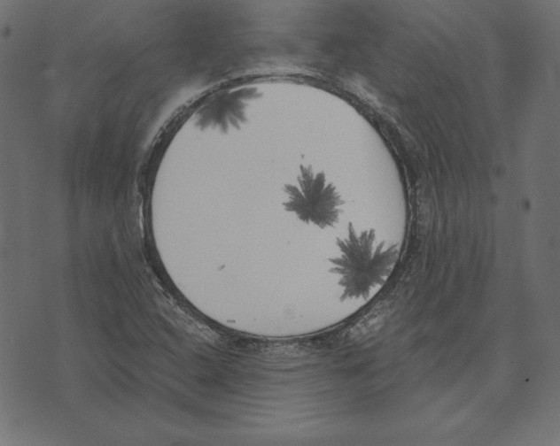 X0000072931408200608181304