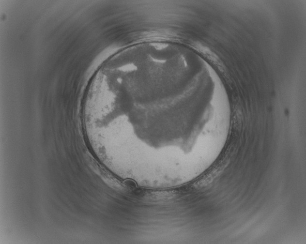 X0000072931427200608181305