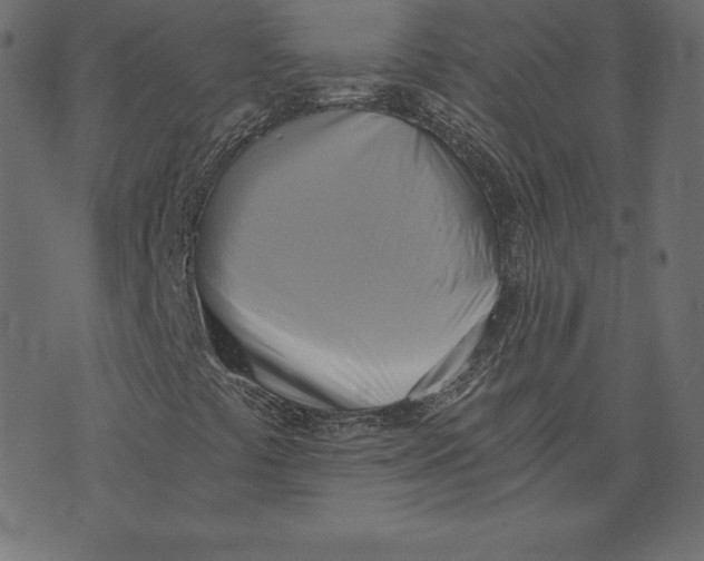 X0000072931441200608181304