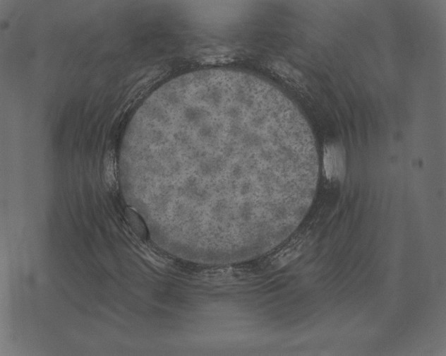 X0000072931444200608181304