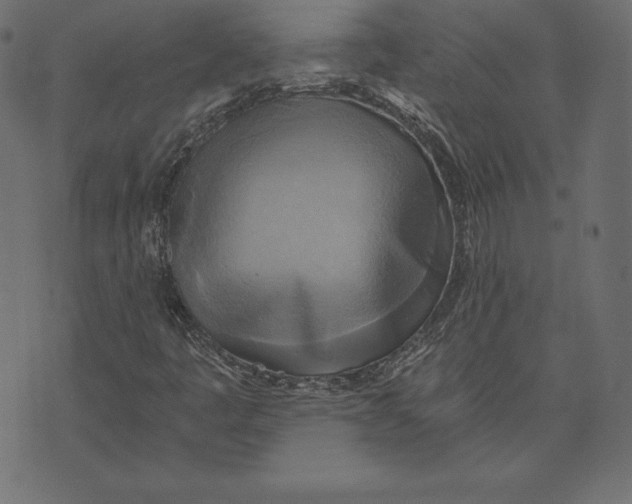 X0000072931445200608181304