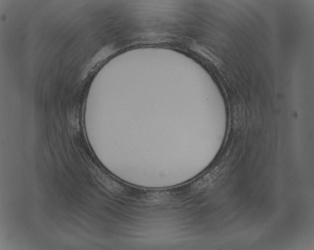 X0000072931451200608181304