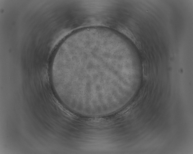 X0000072931452200608181304