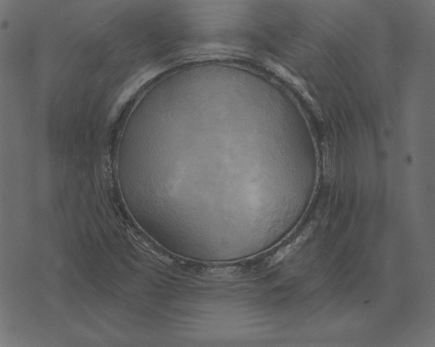 X0000072931453200608181304