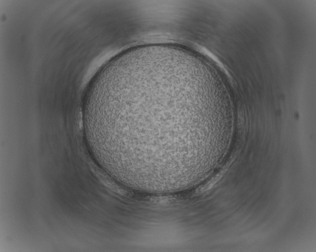 X0000072931461200608181304
