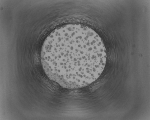 X0000072931490200608181302