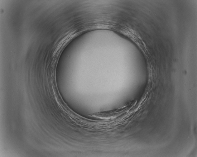 X0000072940001200607210919