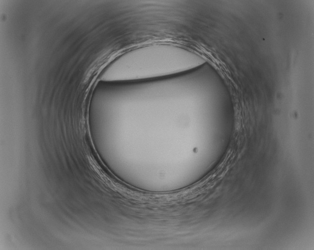 X0000072940002200607210919