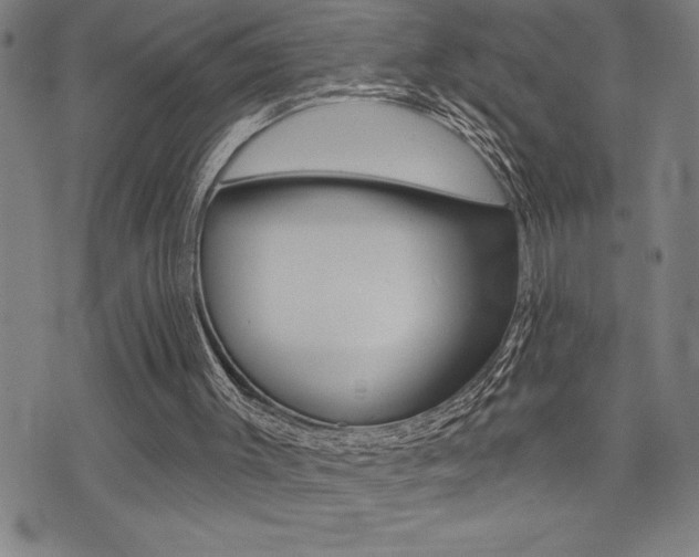 X0000072940003200607210919