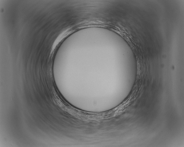 X0000072940004200607210919