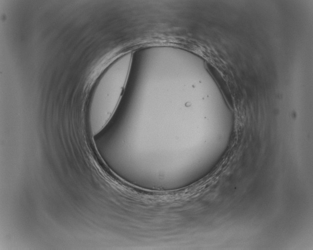 X0000072940005200607210919