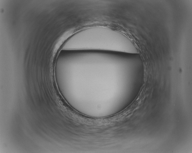 X0000072940006200607210919