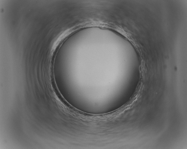 X0000072940007200607210919