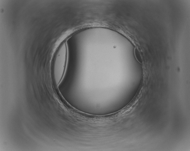 X0000072940008200607210919