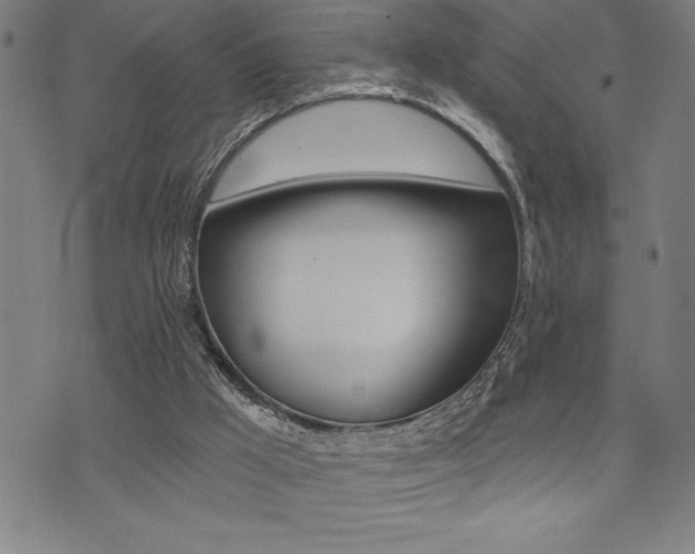 X0000072940009200607210919