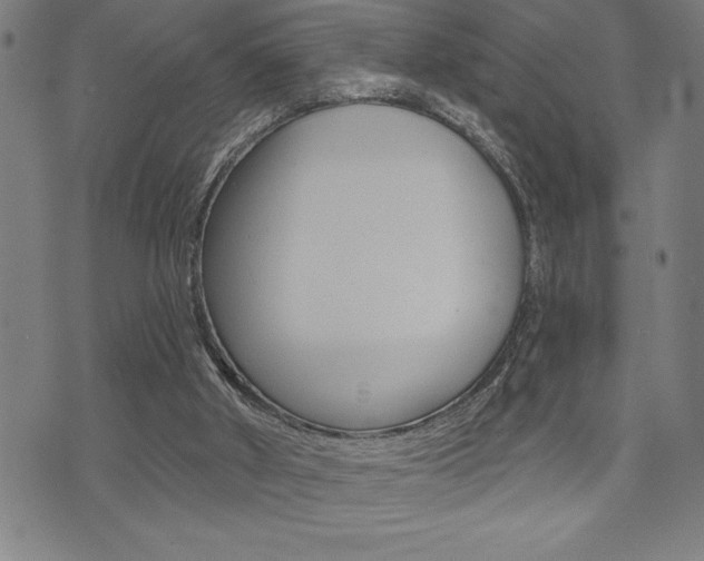 X0000072940010200607210919