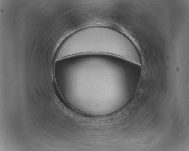 X0000072940011200607210919