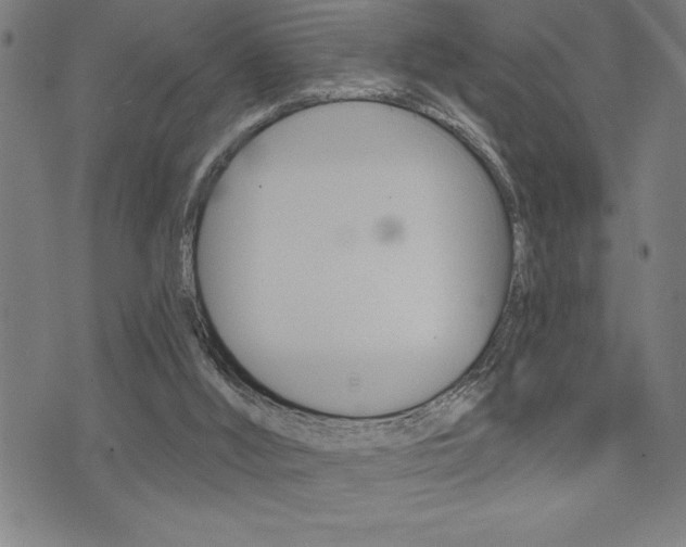 X0000072940012200607210918