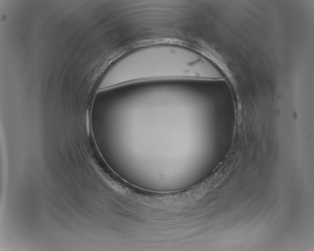 X0000072940013200607210918