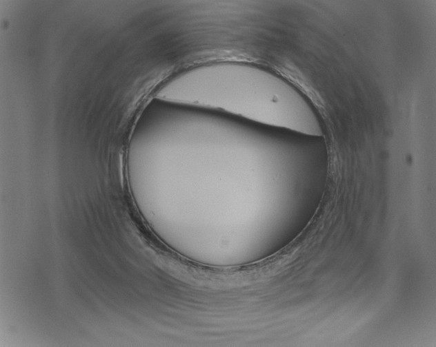 X0000072940014200607210918