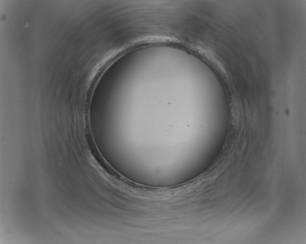 X0000072940015200607210918