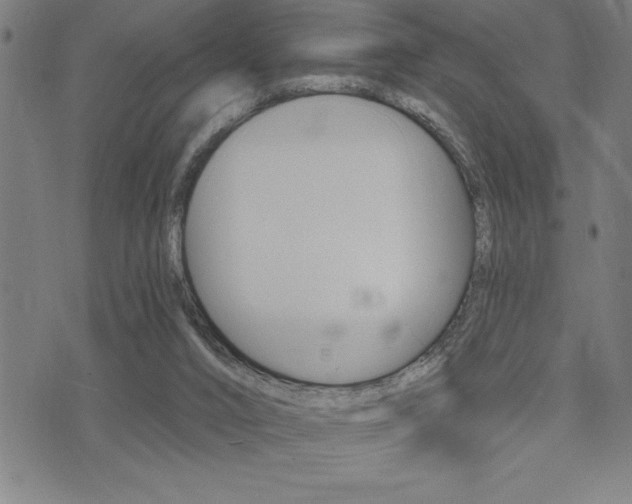 X0000072940016200607210918