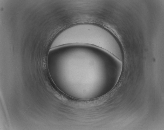 X0000072940017200607210918