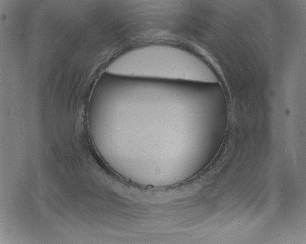 X0000072940018200607210918