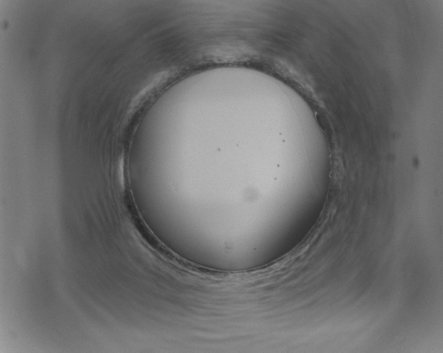 X0000072940019200607210918