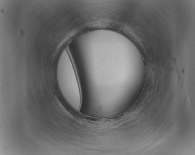 X0000072940020200607210918