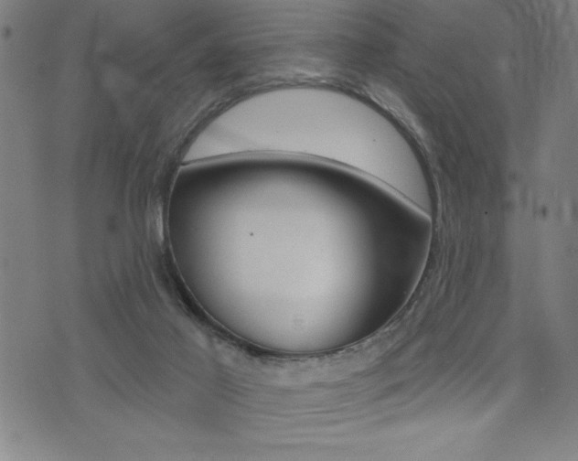 X0000072940021200607210918