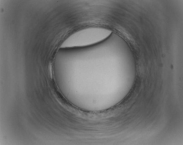 X0000072940022200607210918