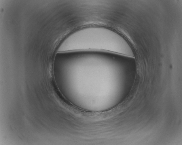 X0000072940023200607210918