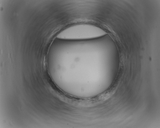 X0000072940024200607210918