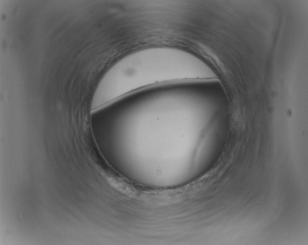 X0000072940025200607210918