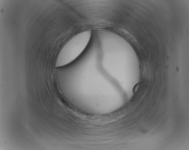 X0000072940026200607210918