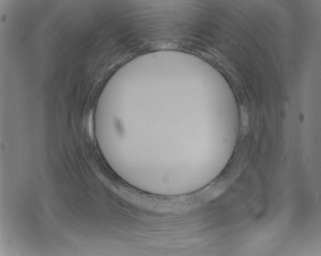 X0000072940028200607210918