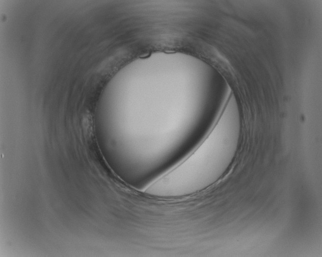 X0000072940029200607210918