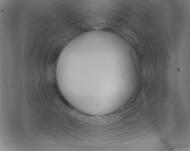 X0000072940030200607210918