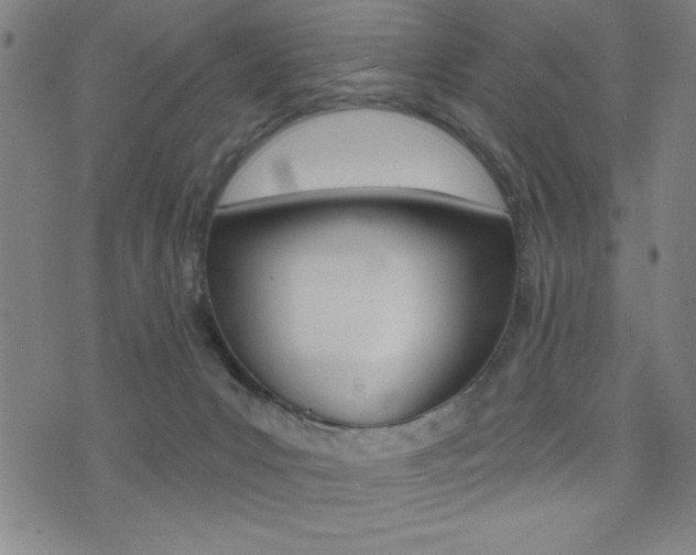 X0000072940031200607210918