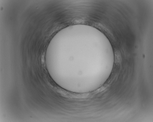 X0000072940032200607210918